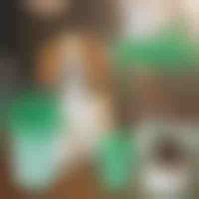 Κύπελλο καθαρισμού ποδιών σκύλου | PAWSANI