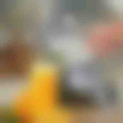 Χειροκίνητος αποχυμωτής φρούτων | JUVOPRESS