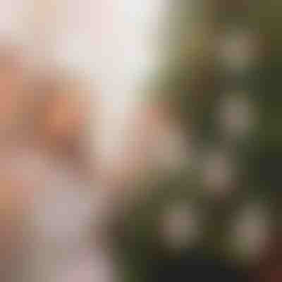 Χριστουγεννιάτικα στολίδια για χρήματα (4 τεμάχια) | WEALTHMAS