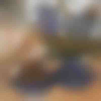 Αναδιπλούμενο μπολ 2 σε 1 για τροφή και νερό | WOOFDISH