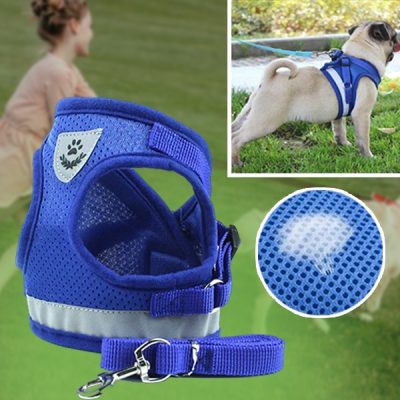 Ρυθμιζόμενη ανακλαστική ζώνη και λουρί για κατοικίδια | LEASHNGO