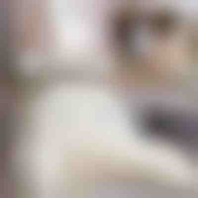 Μεγάλο μαξιλάρι πλάτης | COMFREST