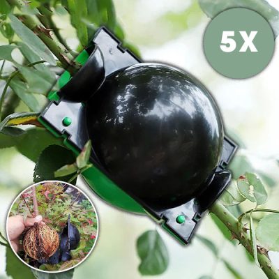 Κουτί πολλαπλασιασμού για υγιείς ρίζες (5 τεμάχια) | ROOTY