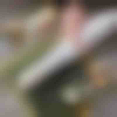 Εύκολη Οικιακή Συσκευή για Σούσι | SUSHROLIO