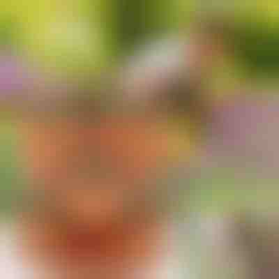 Γλάστρες με ρυθμιζόμενο ύψος (3x τεμάχια) | PLANTUP