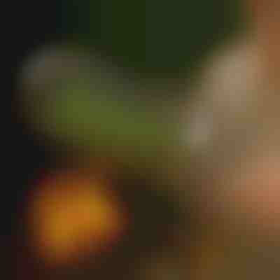 Κυλινδρικό καλάθι ψησίματος | ROLOGRILL