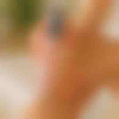 Λεία & απαλά πόδια | PEDIVIA