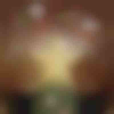 Προβολέας κορυφής χριστουγεννιάτικου δέντρου | FLAKELITE